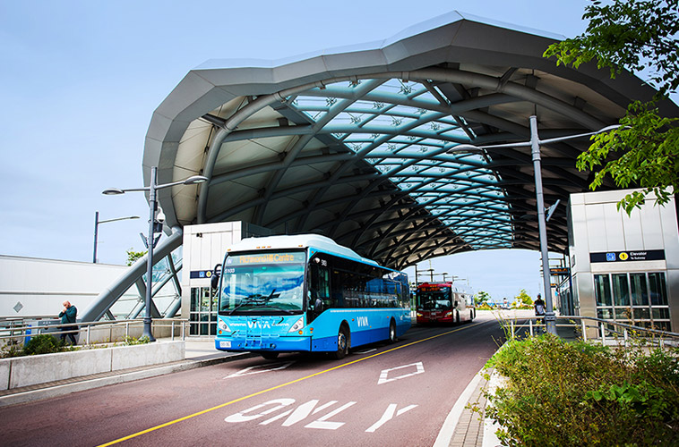 bus transit